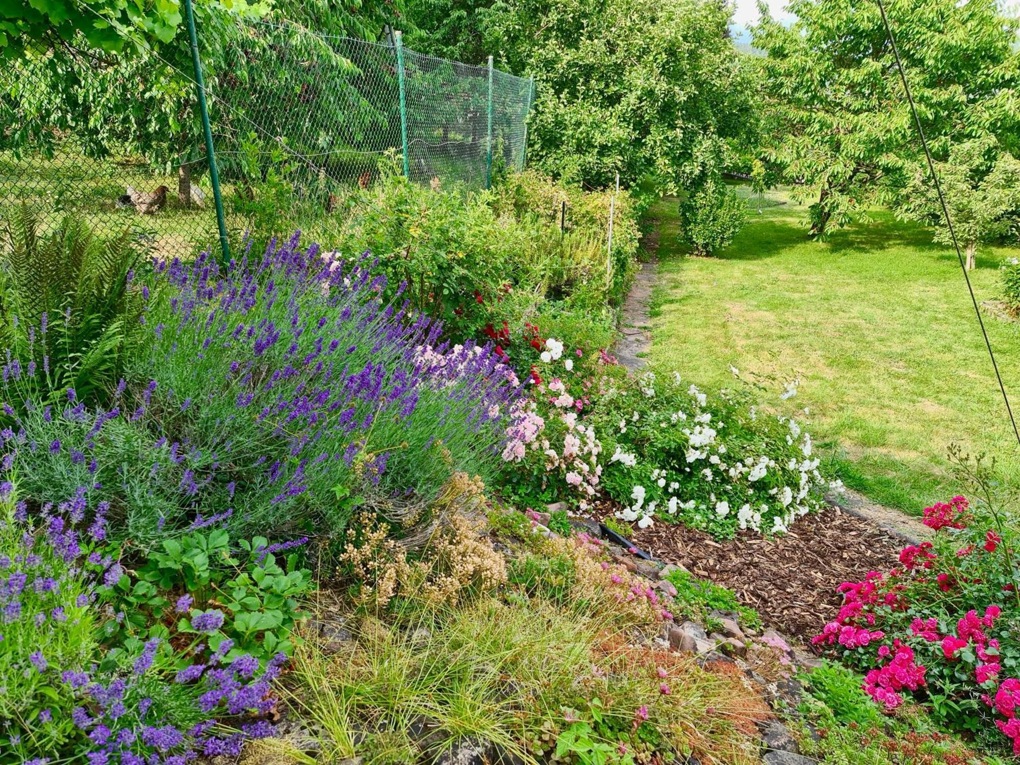 Ferienwohnung Kespergarten Witzenhausen Esterno foto
